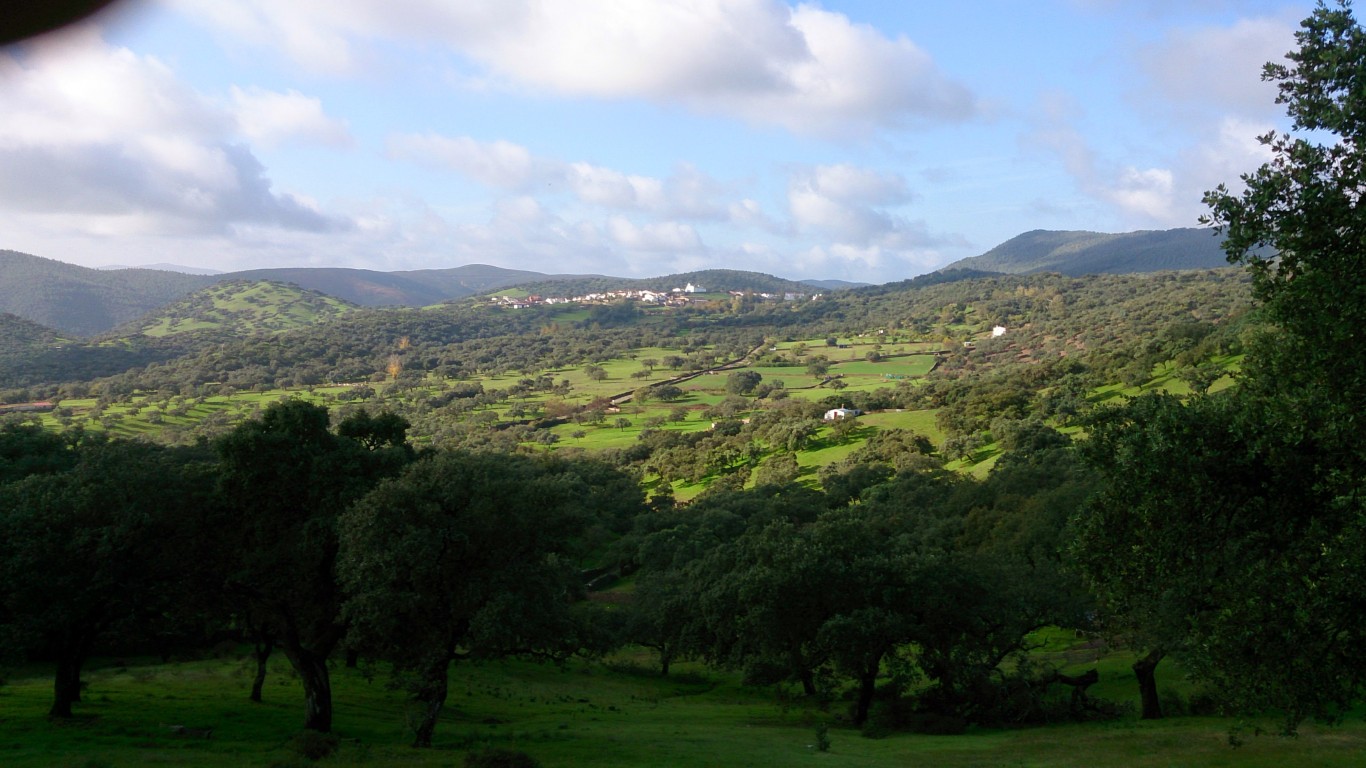 Paisaje de dehesa andaluza con encinas y animales
